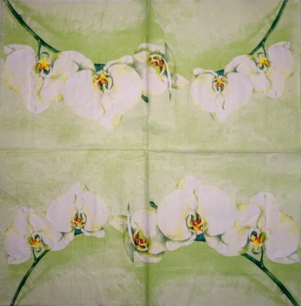 051 Orchideen - 3-lagig - Ihr